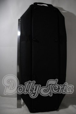 画像2: SD/キャリングケース(ブラック) U-26-09-30-207-TN-ZU