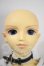 画像2: ＳＤ13ＢＯＹ/フルチョイスＦ19 U-26-09-30-218-TN-ZU (2)