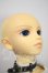 画像3: ＳＤ13ＢＯＹ/フルチョイスＦ19 U-26-09-30-218-TN-ZU (3)