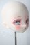 画像2: puyoodoll KUMAKO　EGG02/komebitu doll製 A-26-09-30-1027-TN-ZU (2)