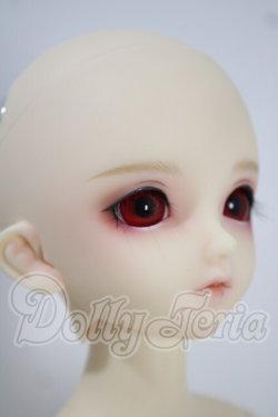 画像3: SDM/フルチョイス:F-33 U-26-10-07-216-TN-ZU