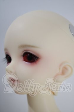 画像4: SDM/フルチョイス:F-33 U-26-10-07-216-TN-ZU