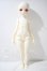 画像5: Myou　doll/sandra　トラ猫ver. limited A-26-10-14-1041-TN-ZU (5)