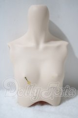DD/上半身パーツ A-26-10-14-1094-TN-ZU