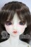 画像1: SD女の子/リーゼロッテ　the Best of the BESTs Ver.2019 U-26-10-21-217-TN-ZU (1)