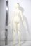画像6: SD女の子/リーゼロッテ　the Best of the BESTs Ver.2019 U-26-10-21-217-TN-ZU (6)