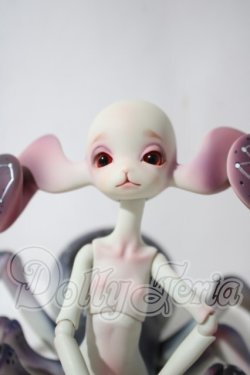 画像1: DOLL CHATEAU /Xaviera A-26-10-21-1039-TN-ZU