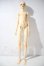 画像2: Doll Chateau/Amos A-26-10-21-1041-TN-ZU (2)