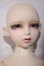 画像3: SPIRIT DOLL/Vine A-26-10-28-1101-TN-ZU (3)