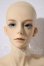 画像1: SPIRIT DOLL/Ulmus A-26-10-28-1093-TN-ZU (1)