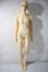 画像5: SPIRIT DOLL/Ulmus A-26-10-28-1093-TN-ZU (5)