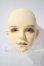 画像1: ANGO DOLL/Sligman A-26-10-21-1025-TN-ZU (1)