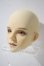 画像2: ANGO DOLL/Sligman A-26-10-21-1025-TN-ZU (2)