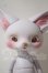 画像1: DEARMINE/LINCOLN A-26-10-21-1034-TN-ZU (1)