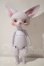 画像2: DEARMINE/LINCOLN A-26-10-21-1034-TN-ZU (2)