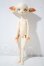 画像2: DOLL ZONE/Miss Kitty A-26-10-21-1035-TN-ZU (2)