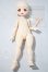 画像1: IMOMODOLL/1/6 Body 冬瓜体 A-26-10-28-1067-TN-ZU (1)