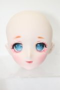DD/DDH-09カスタムヘッド S-25-04-13-491-KD-ZS