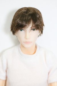 petworks/六分の一男子図鑑　NINE BASIC(ナイン/ベーシック) S-25-03-16-372-KD-ZS