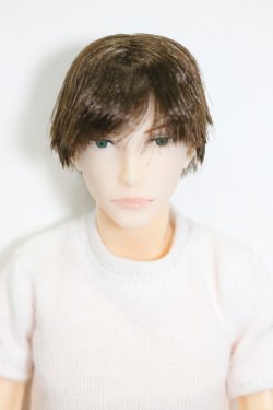 画像1: petworks/六分の一男子図鑑　NINE BASIC(ナイン/ベーシック) S-25-03-16-372-KD-ZS