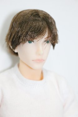 画像2: petworks/六分の一男子図鑑　NINE BASIC(ナイン/ベーシック) S-25-03-16-372-KD-ZS