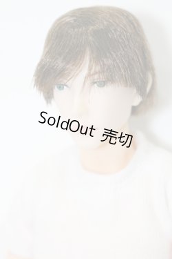 画像3: petworks/六分の一男子図鑑　NINE BASIC(ナイン/ベーシック) S-25-11-02-567-KD-ZS