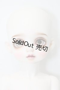 Petit Soiree/Limted Fondueヘッド＆RosenLied Holiday's childボディ