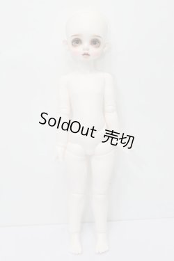 画像3: Petit Soiree/Limted Fondueヘッド＆RosenLied Holiday's childボディ