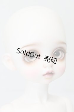 画像8: Petit Soiree/Limted Fondueヘッド＆RosenLied Holiday's childボディ