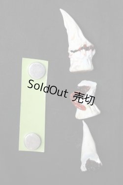 画像4: SD（1/3）/ディーラー様製ガラス角 S-25-10-05-341-KD-ZS