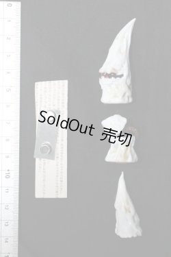 画像5: SD（1/3）/ディーラー様製ガラス角 S-25-10-05-341-KD-ZS