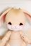 画像1: ANGELOGUE/Lovit(Golden tan) S-25-04-13-576-KD-ZS (1)