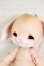 画像4: ANGELOGUE/Lovit(Golden tan) S-25-04-13-576-KD-ZS