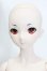 画像4: DDS/神崎蘭子(1st) S-24-05-12-292-GN-ZS