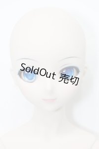 DD/雪ミク S-23-10-18-212-GN-ZS