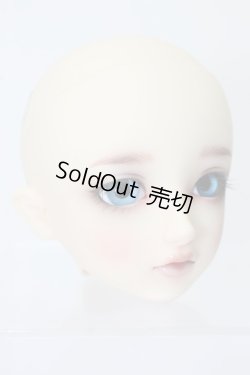 画像3: SD/フルチョイス:SD-F-61ヘッド S-23-10-18-215-GN-ZS