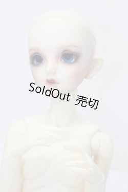 画像9: SDGr少女/Alice(アリス) S-23-10-18-219-GN-ZS