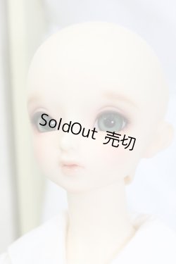 画像8: SDGIRL/メル：スタンダードモデル S-23-10-18-329-KD-ZS