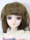 画像1: J-Doll/OF:プチ・シャンプラン S-24-01-21-255-GN-ZS (1)
