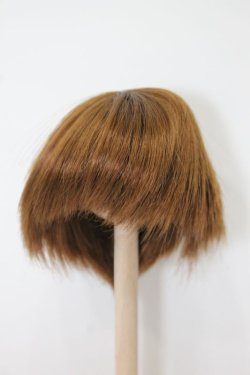 画像1: ウィッグ/6-7inch S-25-03-04-363-TN-ZS