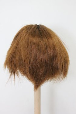 画像3: ウィッグ/6-7inch S-25-03-04-363-TN-ZS