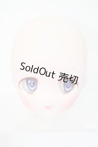 DDH-22/カスタムヘッド S-25-10-05-310-KD-ZS