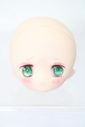PARABOX/ヒカリヘッド（カスタム） S-25-02-09-360-KD-ZS