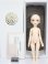 画像4: SOOM　NEO-ANGELREGION/iMda2.6 Amellia S-23-12-13-396-KD-ZS (4)