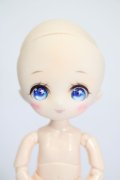 PARABOX/PB11-04カスタムヘッド S-25-03-16-368-KD-ZS