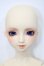 画像1: SD/スタンダードモデル:サキ S-24-01-14-101-GN-ZS (1)