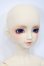 画像3: SD/スタンダードモデル:サキ S-24-01-14-101-GN-ZS