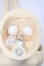 画像8: SD/スタンダードモデル:サキ S-24-01-14-101-GN-ZS