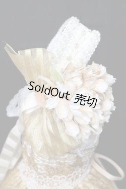 画像4: SD/OF:ワンオフモデル ドレスセット S-24-01-14-104-GN-ZS