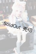 MDD/猫魔導士セット(Ronshuka/ロンシュカ様製) S-24-04-14-187-GN-ZS
